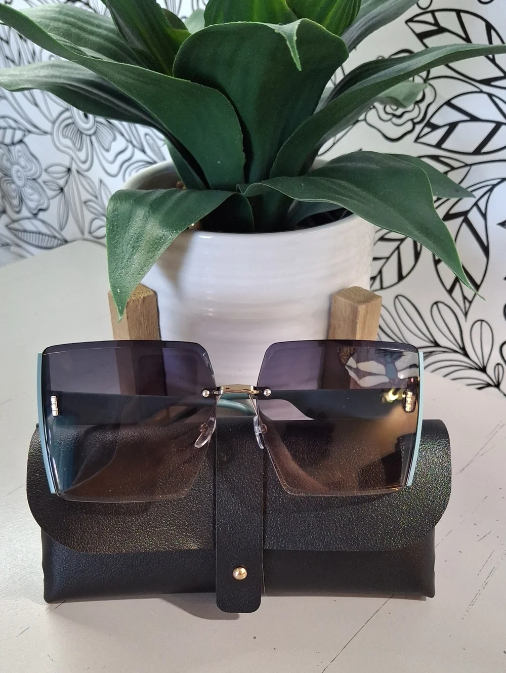 Gradiant Sunglasses & Case